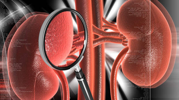 Тренажер для отработки навыков хирургов-урологов разработали московские медики