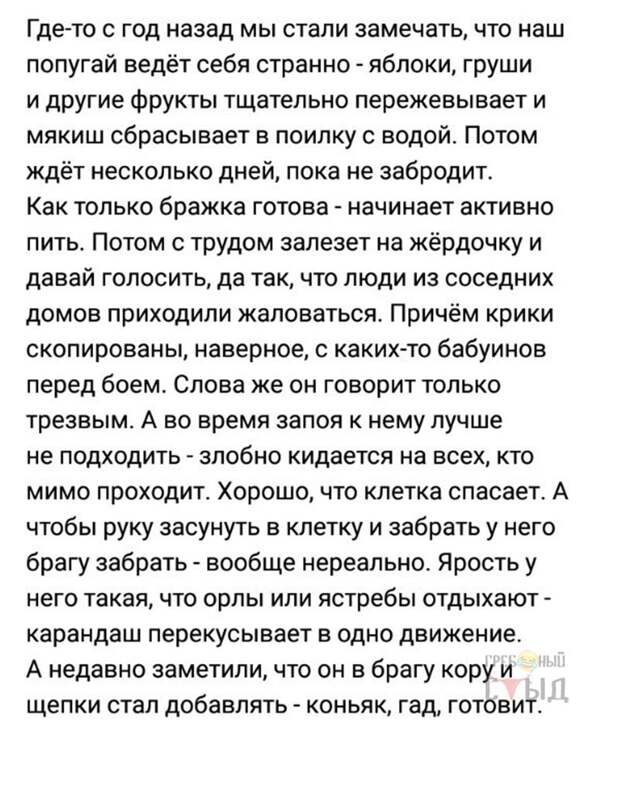 Забавные картинки с надписями со смыслом (11 фото) Забавные картинки с надписями со смыслом (11 фото)