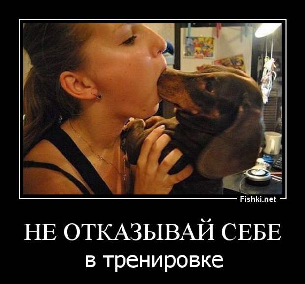 Демотиваторы  демотиваторы, прикол, смех, юмор