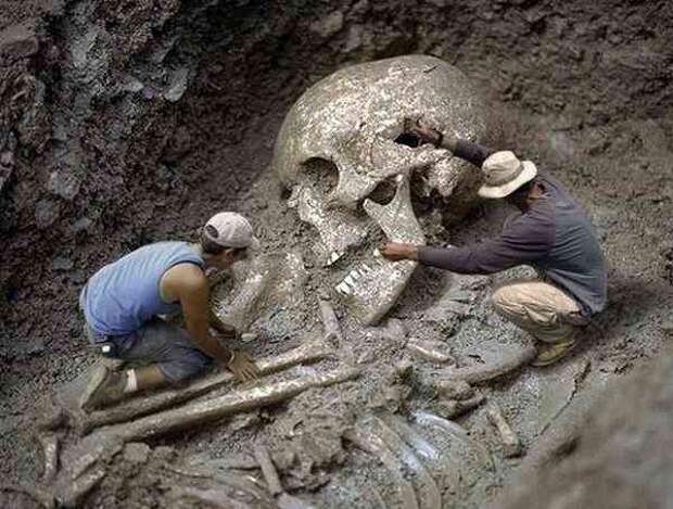 Смитсоновский институт признал, что уничтожил в начале 1900 годов тысячи гигантских человеческих скелетов