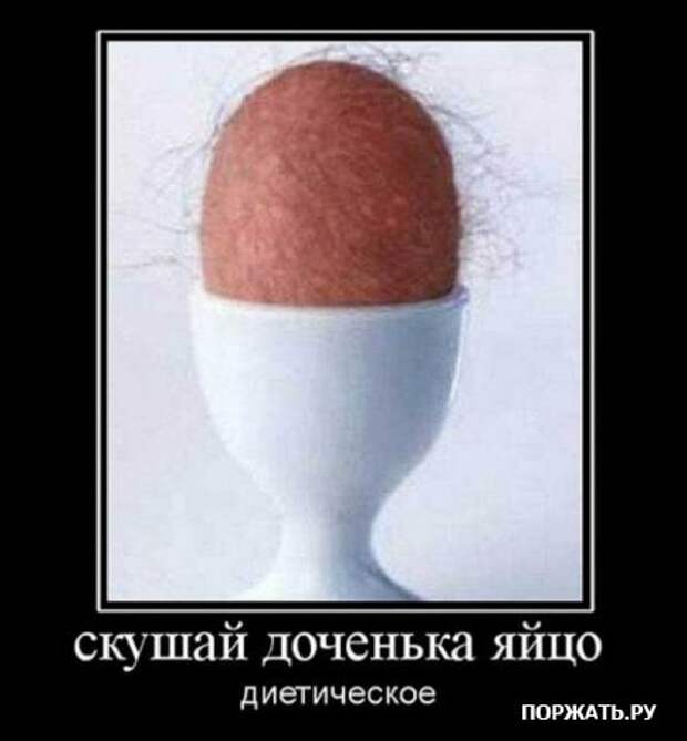 Демотиваторы, новенькое