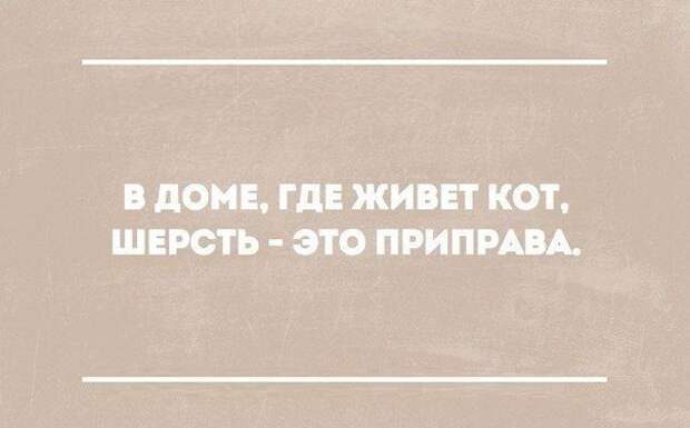 В точку! Лучше и не придумаешь