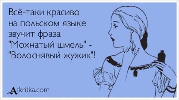 Веселые Аткрытки с текстом Веселые Аткрытки с текстом