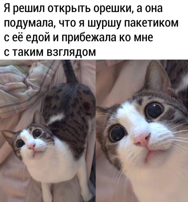 Эти глаза...