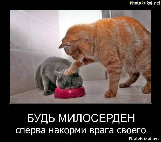 Демотиваторы приколы 3 Демотиваторы приколы 3