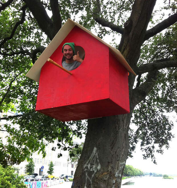 Датский художник сколотил уже 3500 скворечников из вторсырья, чтобы удержать птиц в городах