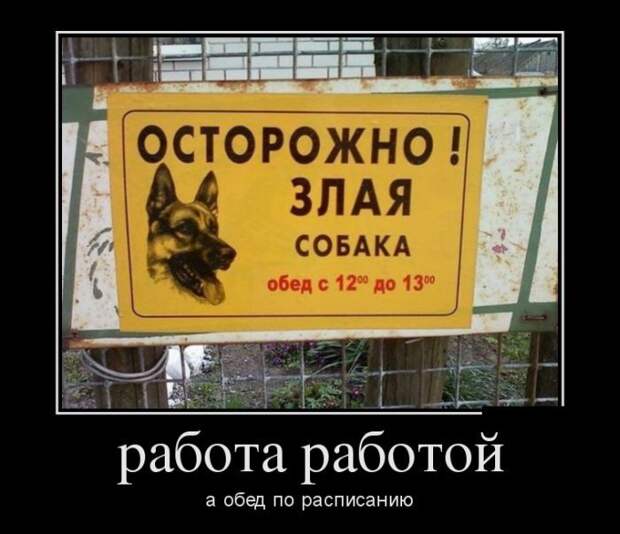 Демотиваторы демотиваторы, прикол, смех, юмор