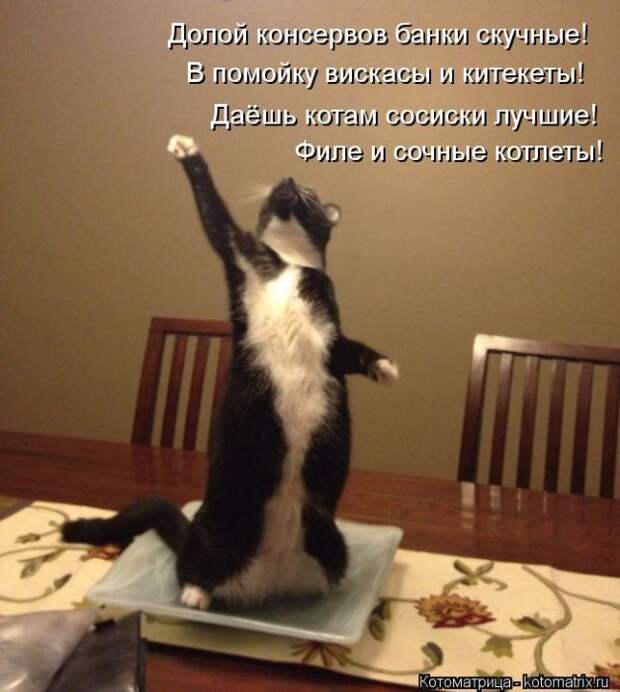 Мысли вслух Мысли вслух