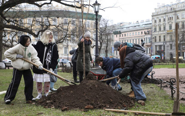 В центре Петербурга высадят более 400 деревьев