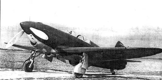 yak1-8.jpg