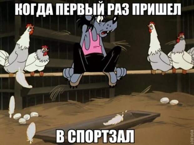 Прикольные фотомемы (24 шт)