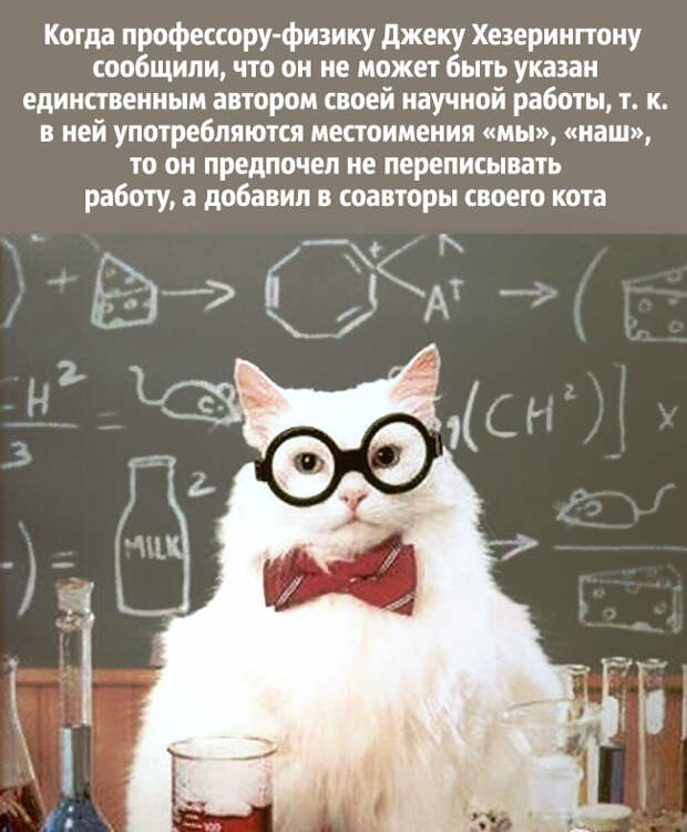 забавные картинки про учёных