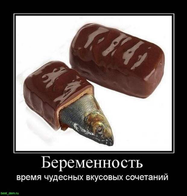 Демотиваторы, смешно, прикльные подписи и фотки.