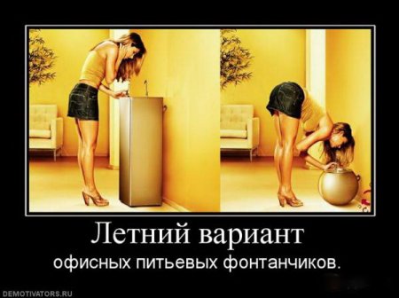 Cвежие демотиваторы