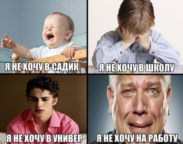 Прикольные фотомемы (36 шт)