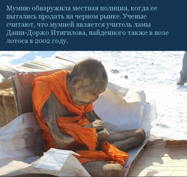 В Улан-Баторе изучают мумию 200-летнего монаха,который &quot;все еще жив&quot; монах, мумия, наука, необъяснимое