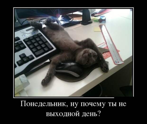 Прикольные демотиваторы Прикольные демотиваторы