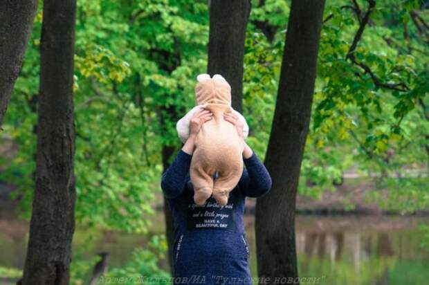 В Тульской области учредят медаль «За вклад в будущие поколения»