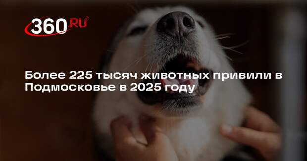 Более 225 тысяч животных привили в Подмосковье в 2025 году