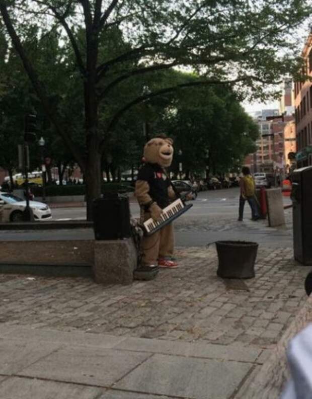 Дверь открывай в новый день с новыми фотоприколами!