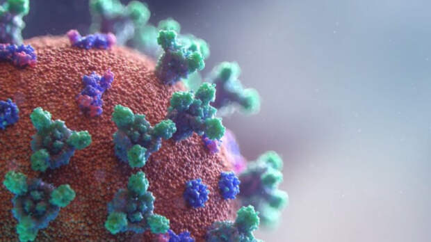 Россиянам рассказали о симптомах нового летнего варианта коронавируса "FLiRT"