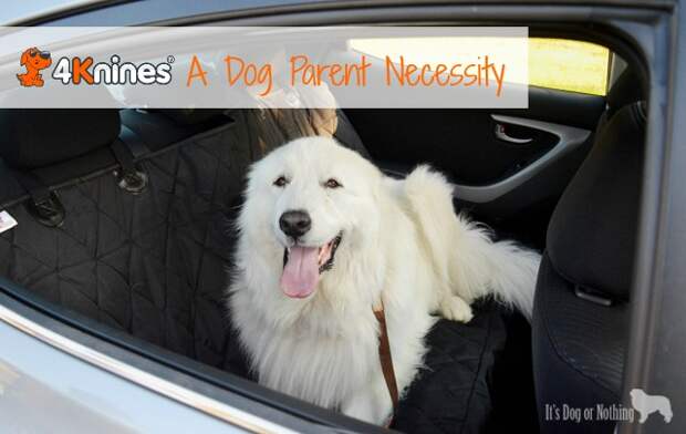 4Knines with Great Pyrenees