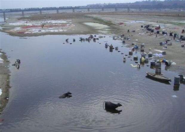 real_india_20