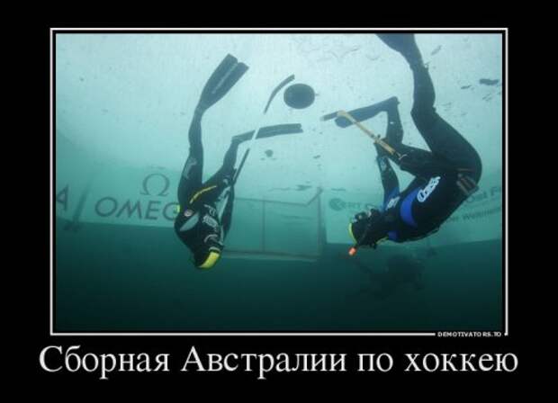 Прикольные демотиваторы (10 шт)