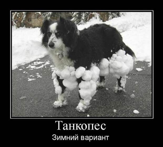 Зимние демотиваторы