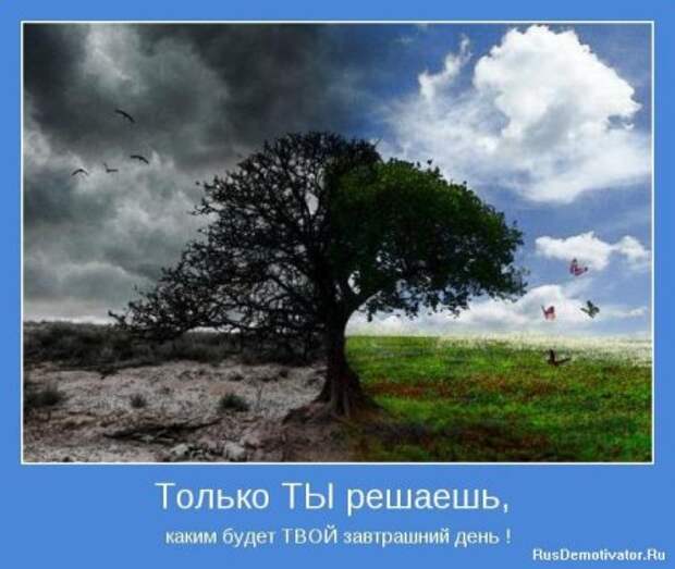 Картинки мотиваторы интересные цитаты.