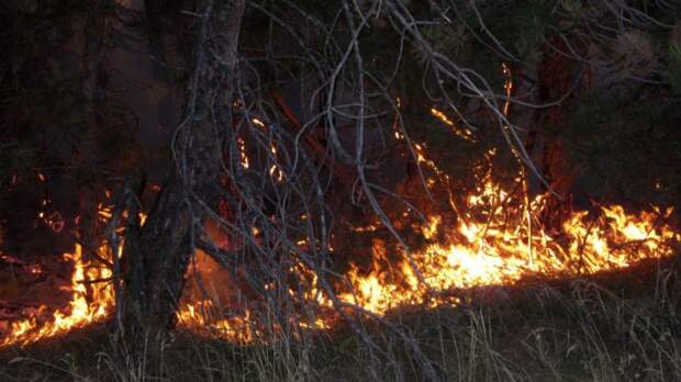 Курорт в огне: в пригороде Сочи вспыхнули два новых природных пожара