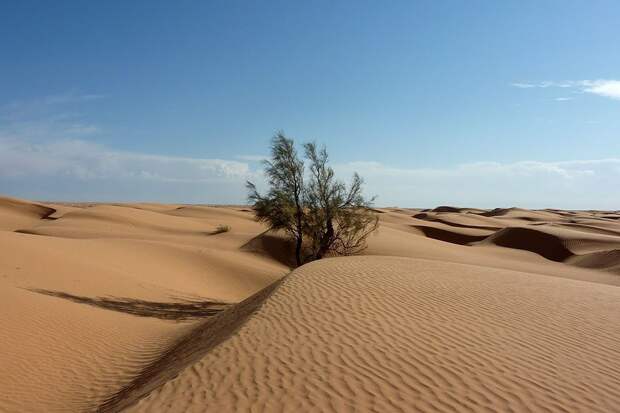 Noticias ambientales: Сахара была плодородной территорией