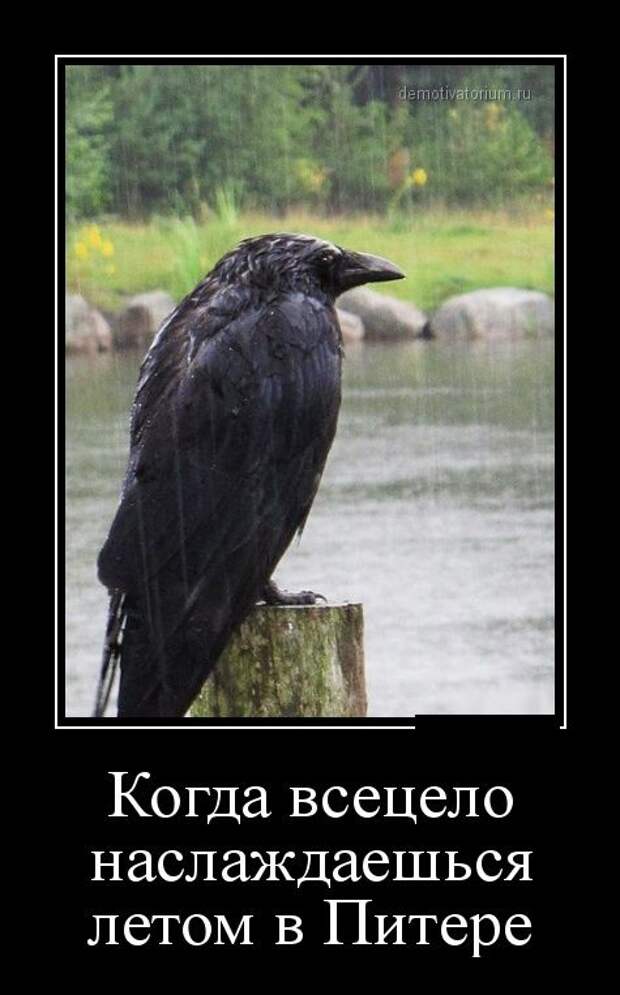 Демотиваторы (30 фото) Демотиваторы (30 фото)