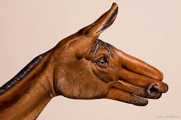 Hand Art: рисунки животных на руках