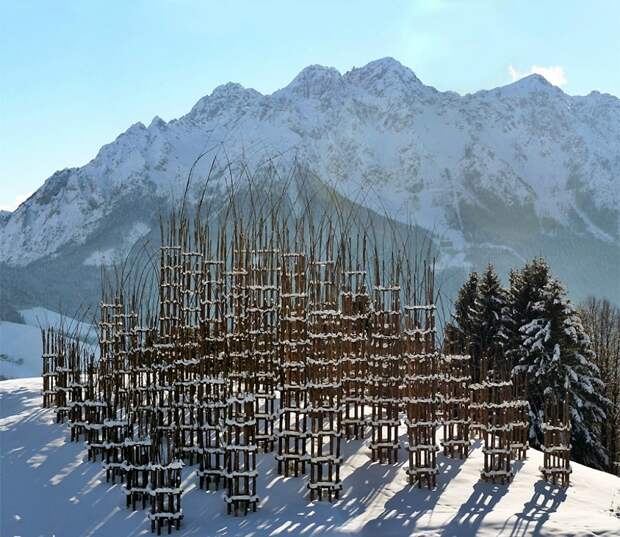 Храм из живых деревьев в Италии. Фото