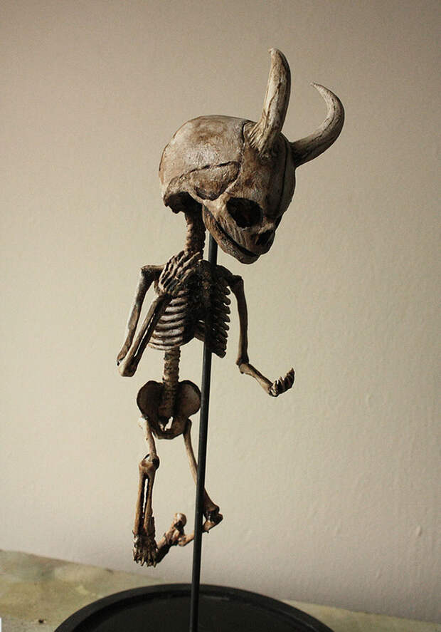 skulls-skeletons-thomas-theodore-merlin-home-london27
