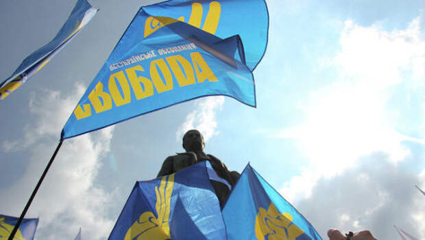 Флагии украинской партии Свобода. Архивное фото. Флагии украинской партии Свобода. Архивное фото.