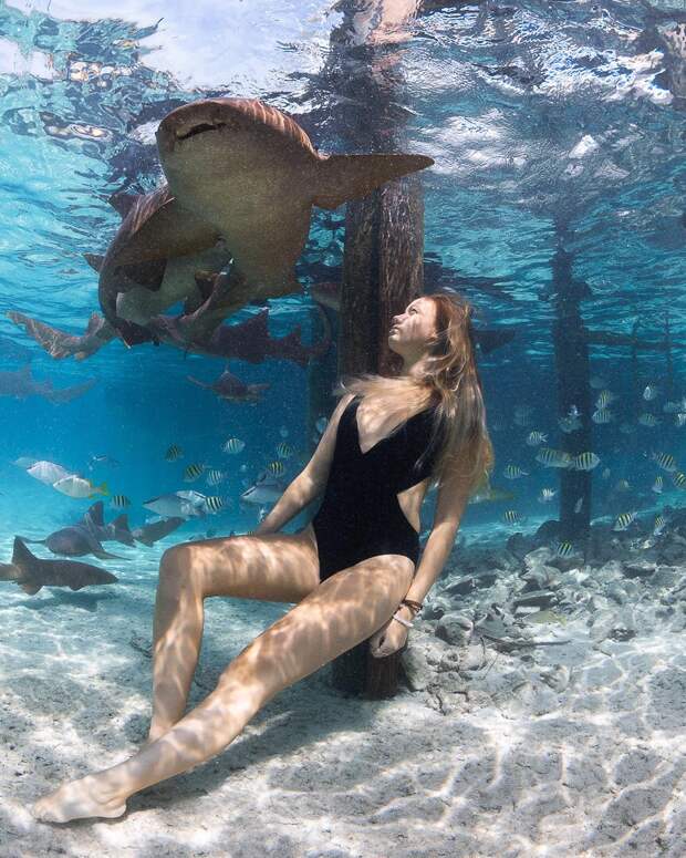 Андре Масгроув (André Musgrove) и его невероятные подводные снимки