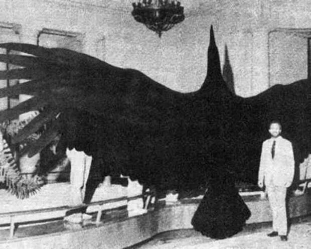 20 исторических фактов, о которых не расскажут в школе