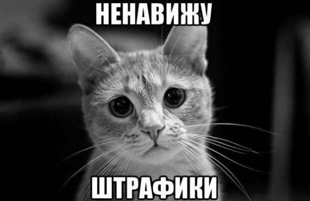 Подборка автоприколов - 17