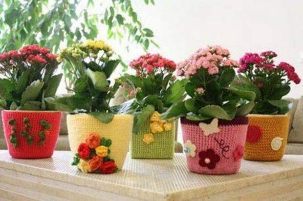 b2ap3_thumbnail_c96ad75906.jpg b2ap3_thumbnail_c96ad75906.jpg