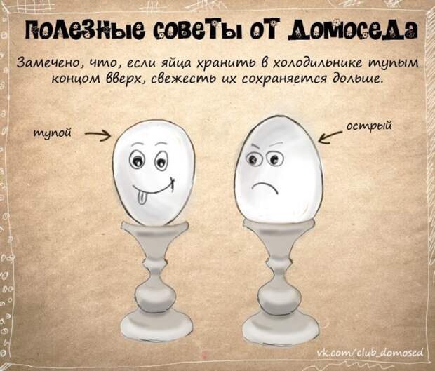 Полезные бытовые советы (11 фото)