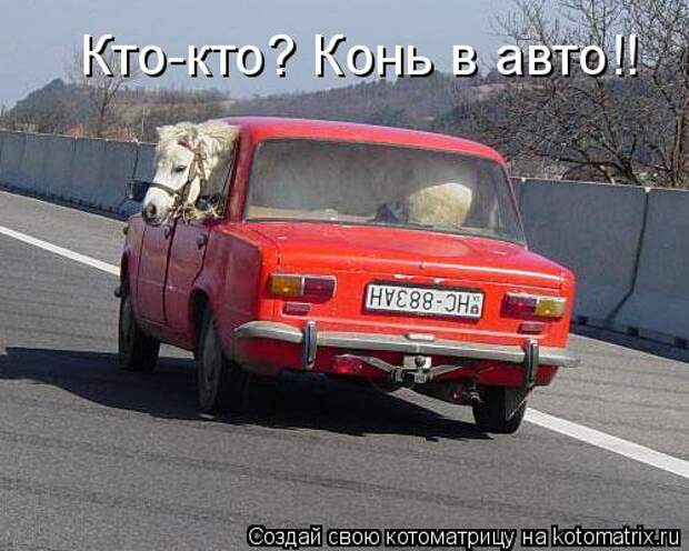 Котоматрица: Кто-кто? Конь в авто!!