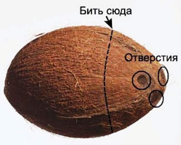 кокос