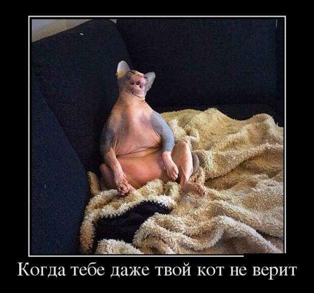 Демотиваторы №1066 (30 фото)