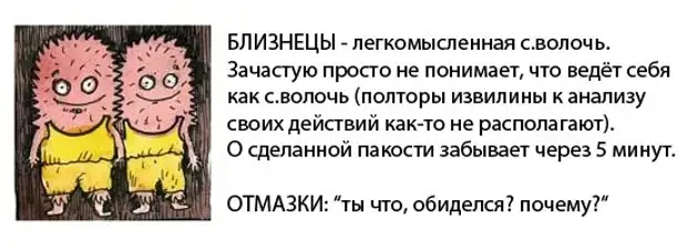 Легкомысленный тип. Близнецы гороскоп прикол. Прикольный гороскоп про близнецов. Шуточный гороскоп Близнецы. Шуточный гороскоп про близнецов.