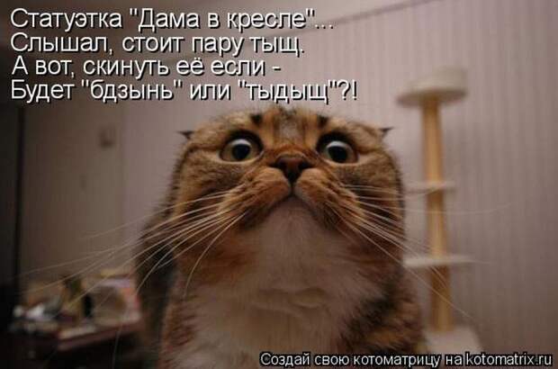Лучшие котоматрицы недели
