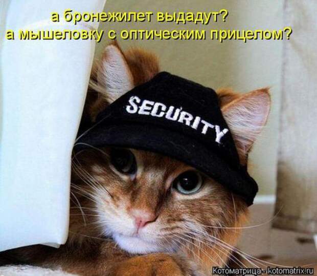Котоматрицы (картинки с надписями)