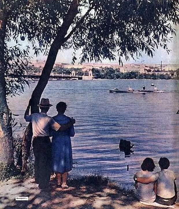 37. Городской ставок и вид на парк им. Щербакова. Донецк, 1962 год