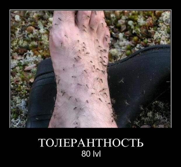 Демотиваторы (30 фото) Демотиваторы (30 фото)